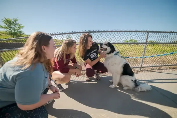 Three students play with a dog
